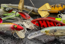 Art and Innovation of Fishing Lures: How Modern Designs Are Elevating the Angler’s Experience