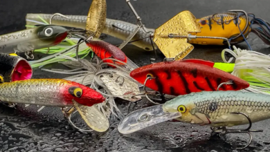 Art and Innovation of Fishing Lures: How Modern Designs Are Elevating the Angler’s Experience