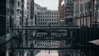 building a thriving photography business