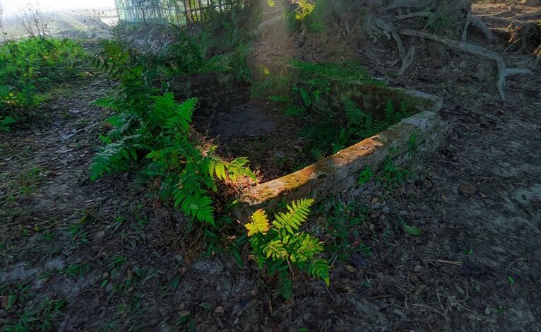 grow instagram followers effectively