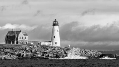 lopulgunzer usage evaluation guide