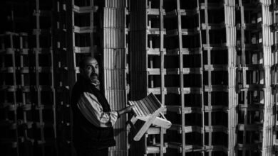 business insights and patterns