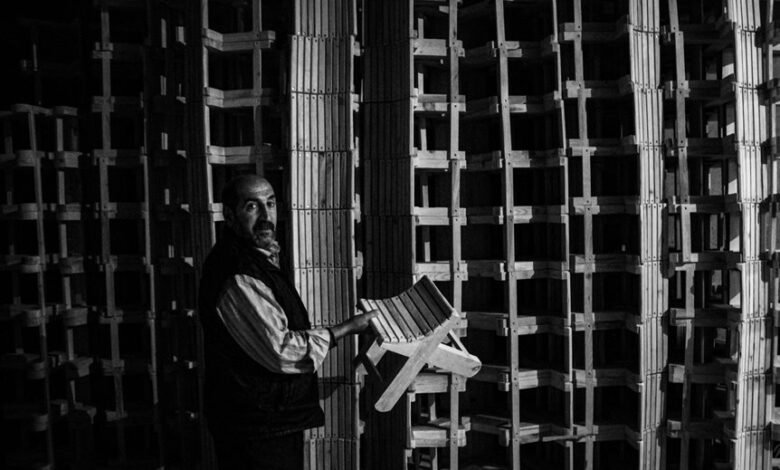 business insights and patterns