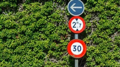 global growth industry signals