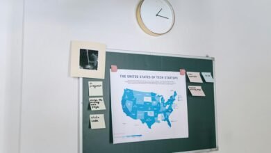 investor insights report summary