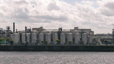 market analysis and competition