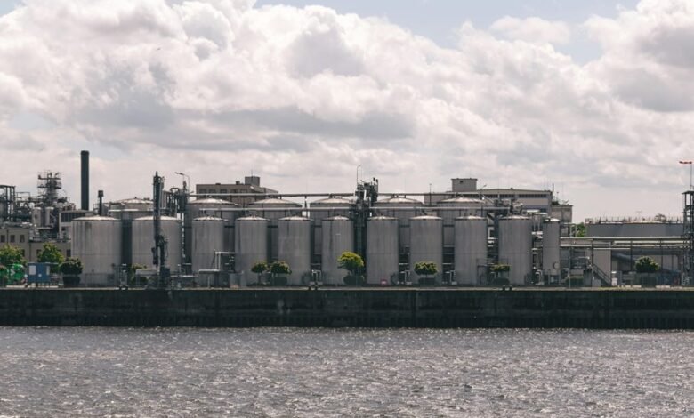 market analysis and competition