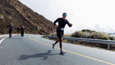 market analysis and trends