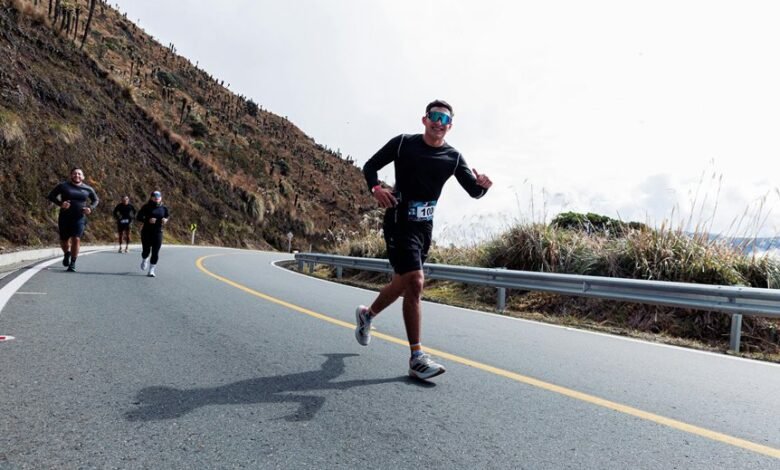 market analysis and trends