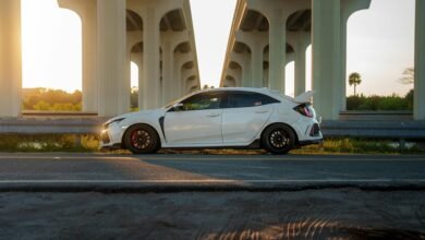 market trends and performance