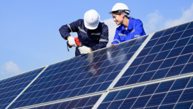 Leading Solar Panel Companies: Harnessing Renewable Energy