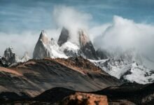 conversion success for roi