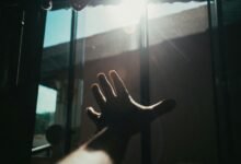 digital exposure optimization tool