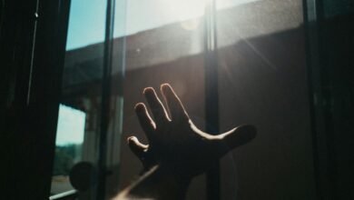 digital exposure optimization tool