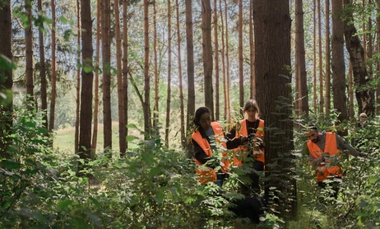 search for visibility momentum