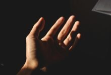 digital visibility for reach