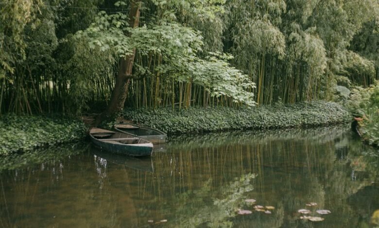 monetization through digital revenue