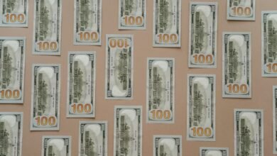 revenue stability control framework