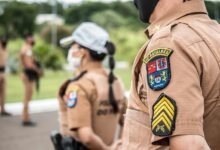 search rankings authority planner