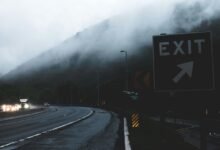 search visibility for traffic