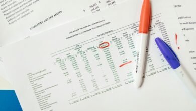 caller record overview summary