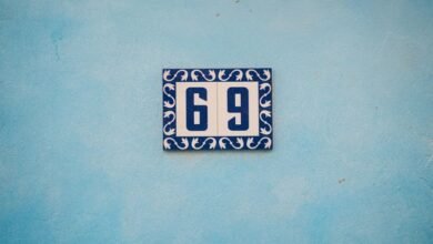 omega vector strategic lane