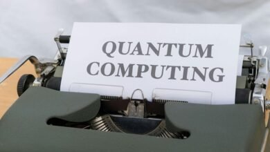 quantum market dynamics analysis