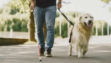 trusted tech support hotline